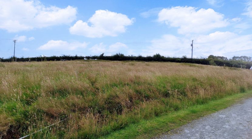 Photo of site