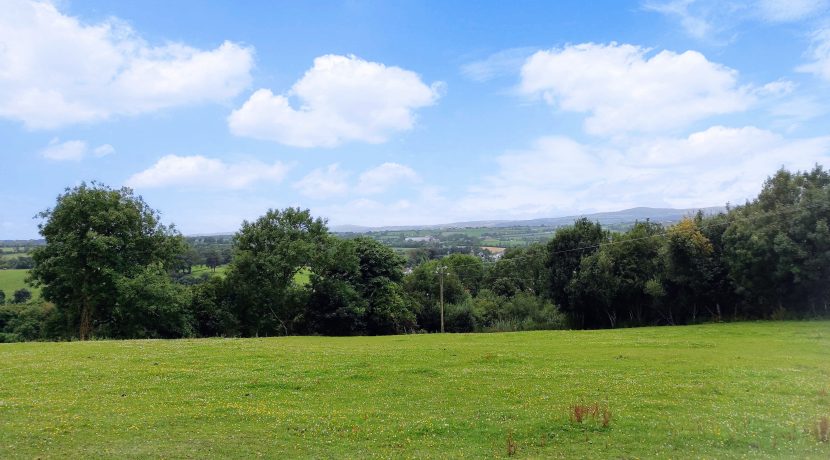 View 1
