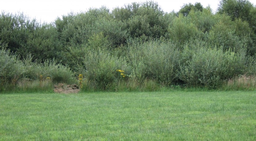 Glenswilly Site