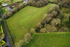 dji_fly_20241216_141956_630_1734358819846_photo_optimized