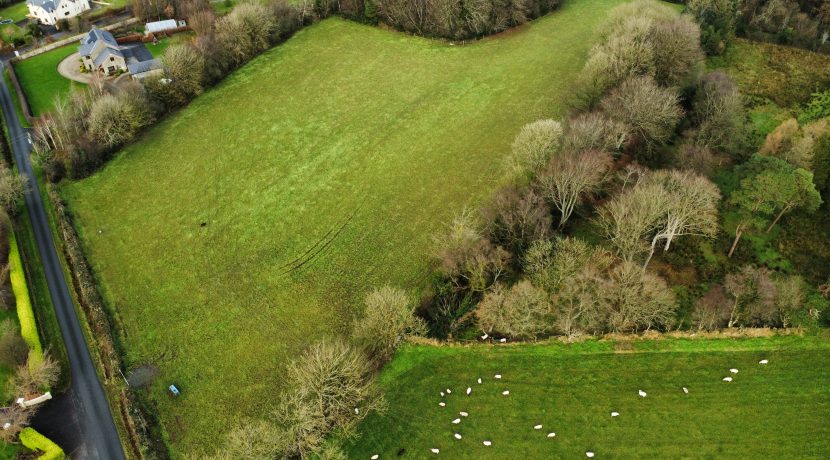 dji_fly_20241216_141956_630_1734358819846_photo_optimized