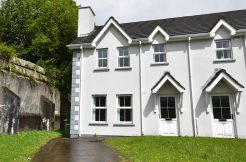 50 Carraig Craobh