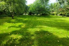 IMG_20260811_155216