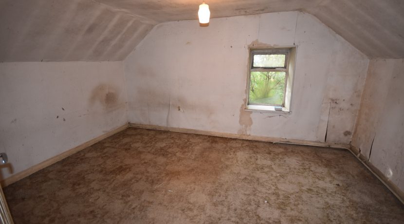 DSC_0056